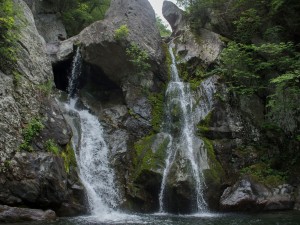 Greenwood Trails is right in the foothills of the Berkshires, so we get to go to some awesome places on our days off, like New York, Boston, or Bash Bish Falls in Massachusetts. 